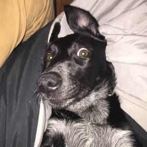 Meet your Posher, Jonathan